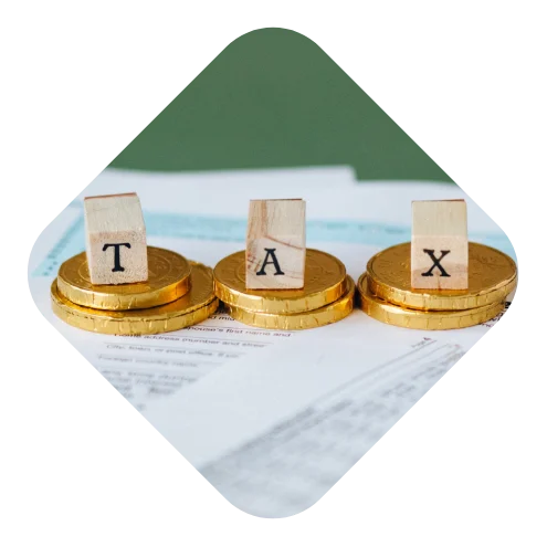 tax dti mask